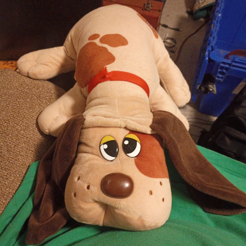 2019 Hasbro Pound Puppies Stuffed Animal Plush Toy